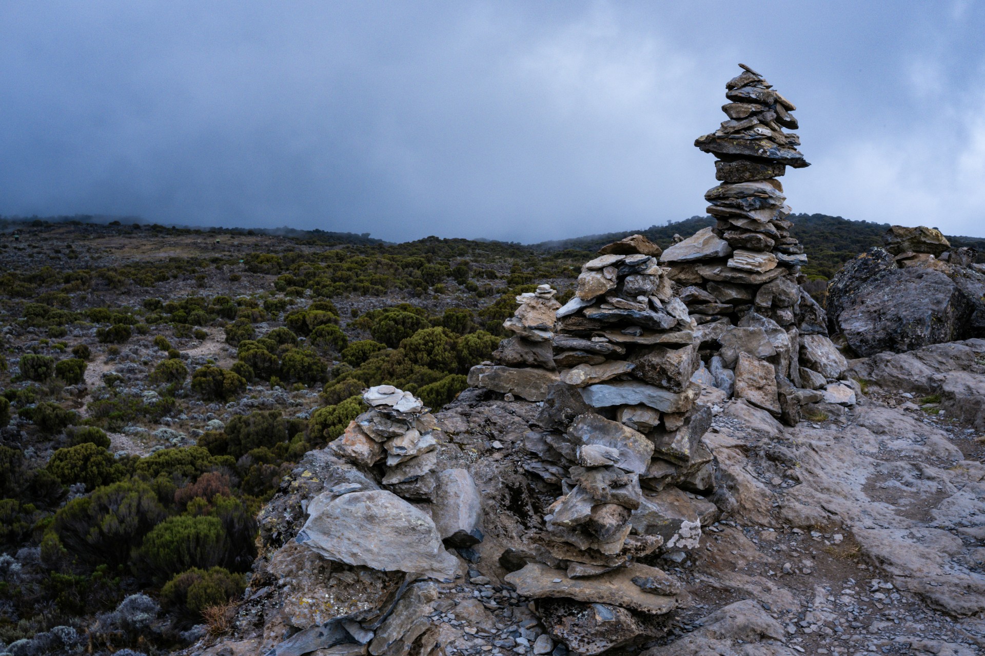 How to Prepare for Kilimanjaro: Training, Gear & Altitude