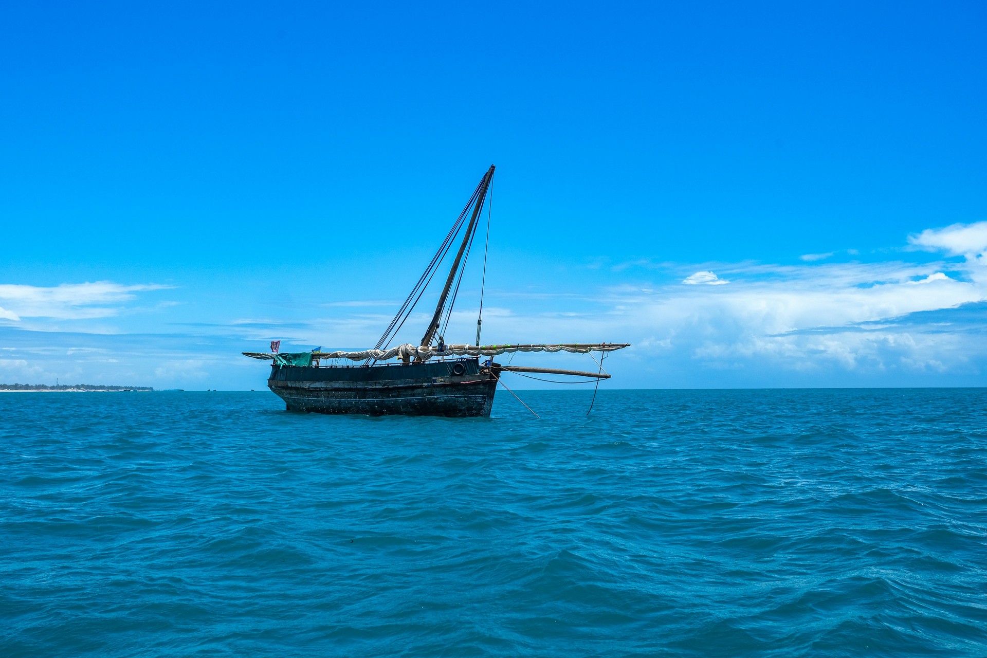 Top Tanzania Safari Companies: How to Find the Right Operator