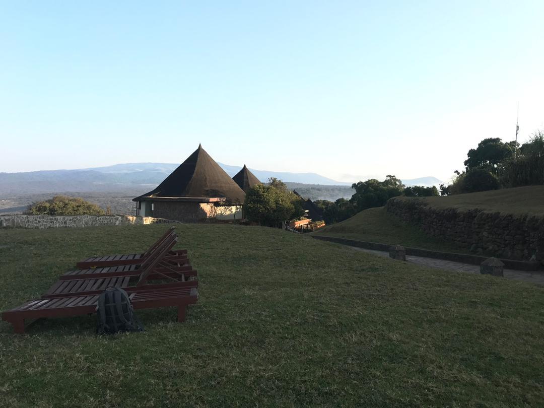 Game Drive Experience