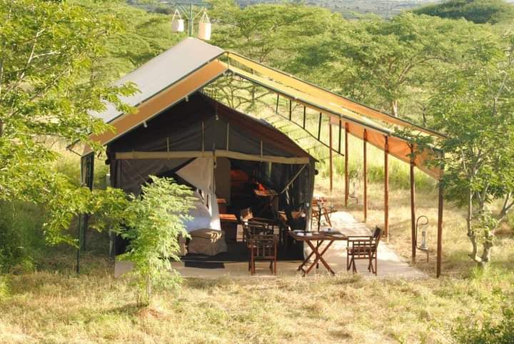 Safari Sundowner