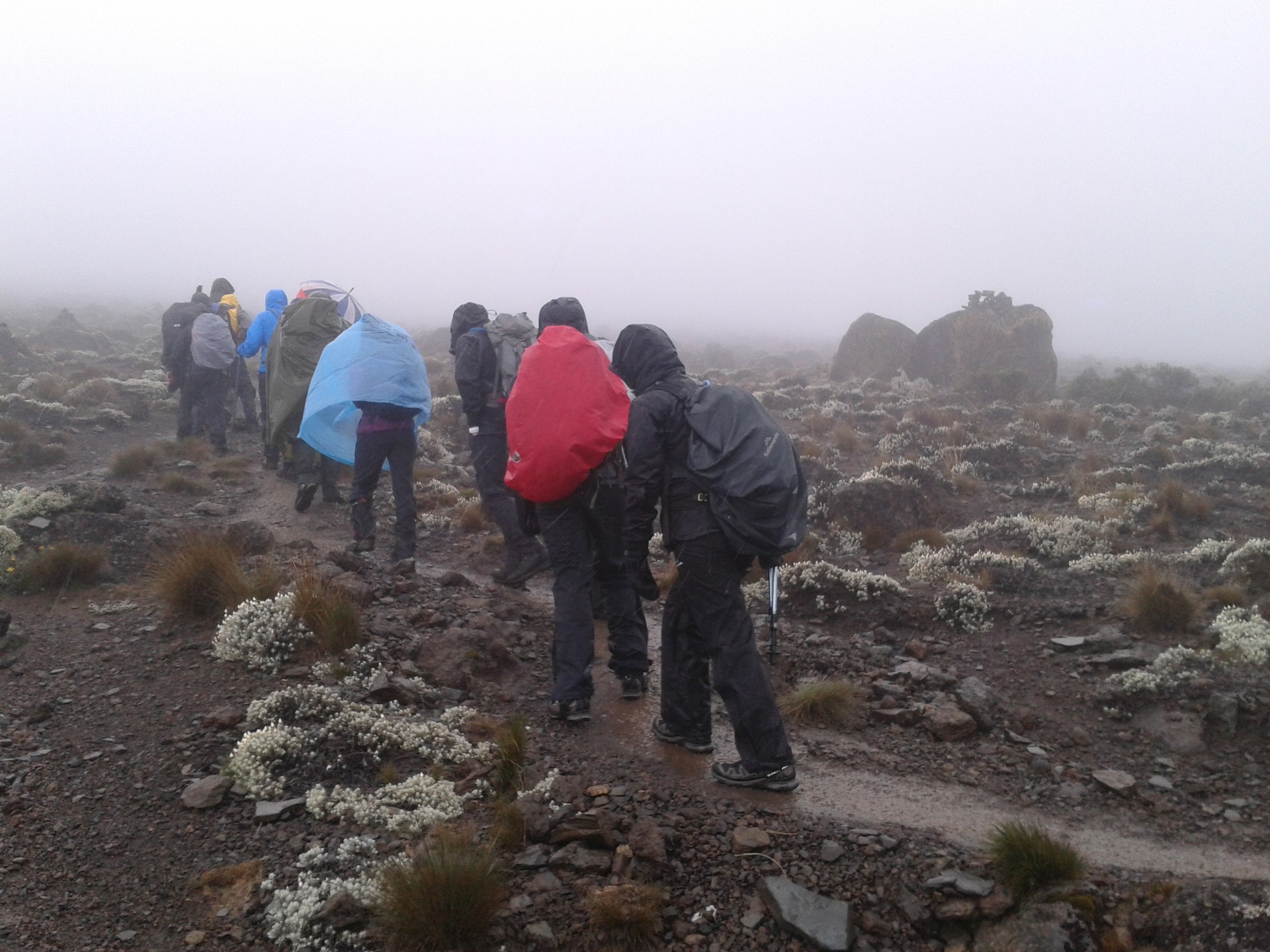 7-Day Kilimanjaro Machame Route