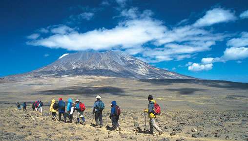 The Big Five: Where to See Them in Tanzania