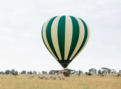 Luxury Serengeti balloon safari experience in Tanzania with sunrise views over wildlife and savannah plains