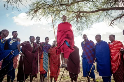 Top Tanzania Tours to Book in 2026: Kilimanjaro, Safari & More
