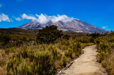 The Complete Guide to Kilimanjaro Climbing Routes