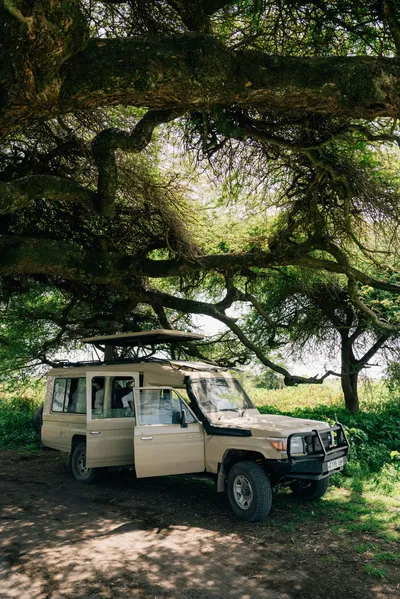 Big Five in Ngorongoro Crater: Complete Wildlife Guide for 2026