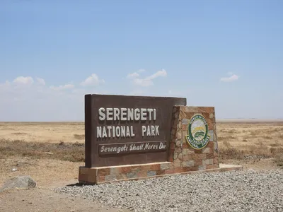 Ngorongoro vs Serengeti: Which Is Better for Wildlife?