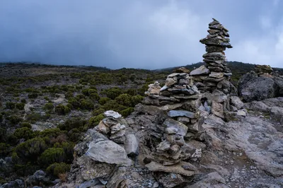 How to Prepare for Kilimanjaro: Training, Gear & Altitude