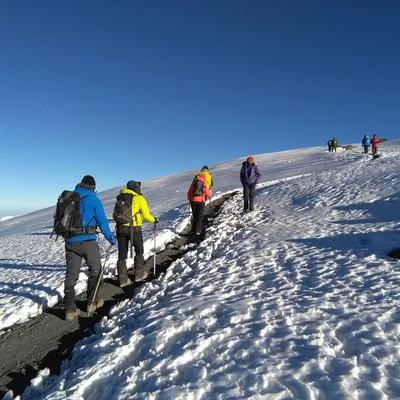 Kilimanjaro Preparation: Your Complete 8-Week Guide
