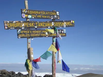 Can a Beginner Climb Kilimanjaro Safely? What to Know