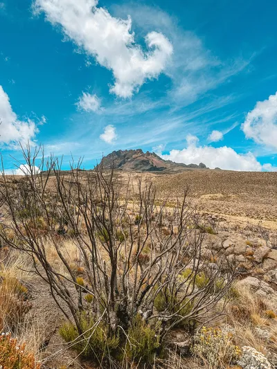 Mount Kilimanjaro alpine desert zone during a trekking expedition in Tanzania featuring volcanic terrain and scenic mountain views.