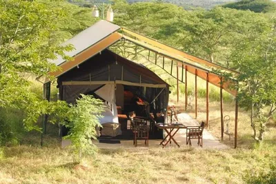 How Much Does a Tanzania Safari Cost? 2026 Breakdown