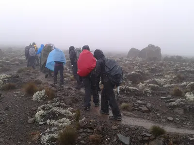 7-Day Kilimanjaro Machame Route