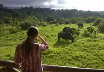 Tanzania trip cost in 2026: budget to luxury breakdown